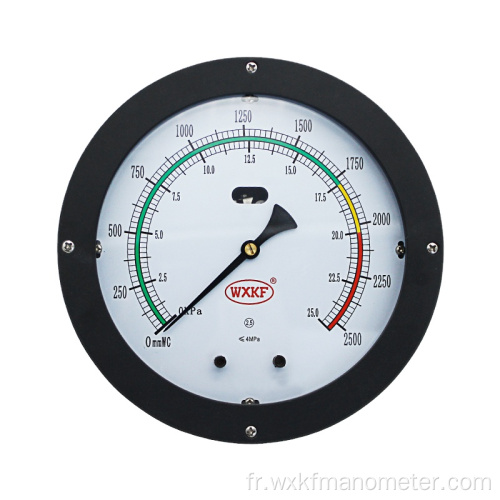 150 mm 6 &quot;Gauge de niveau de pression différentielle